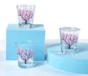 Soju Glass Set 4pc (Colour Changing)